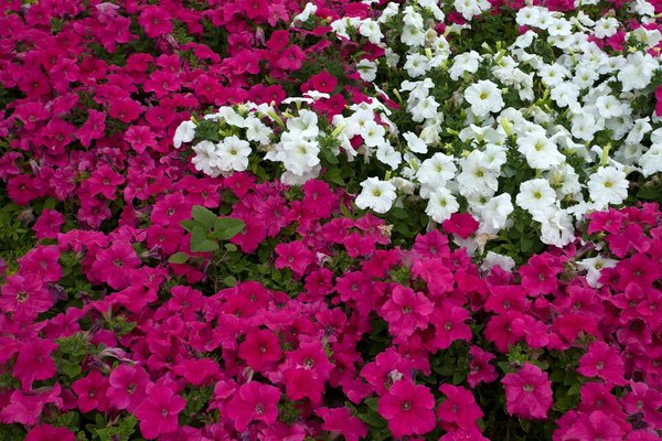 Où acheter sa robinetterie en ligne ?