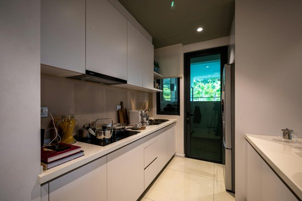 7 plantes qui peuvent survivre à l'ombre dans votre jardin